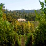 Diamond Creek Vineyards