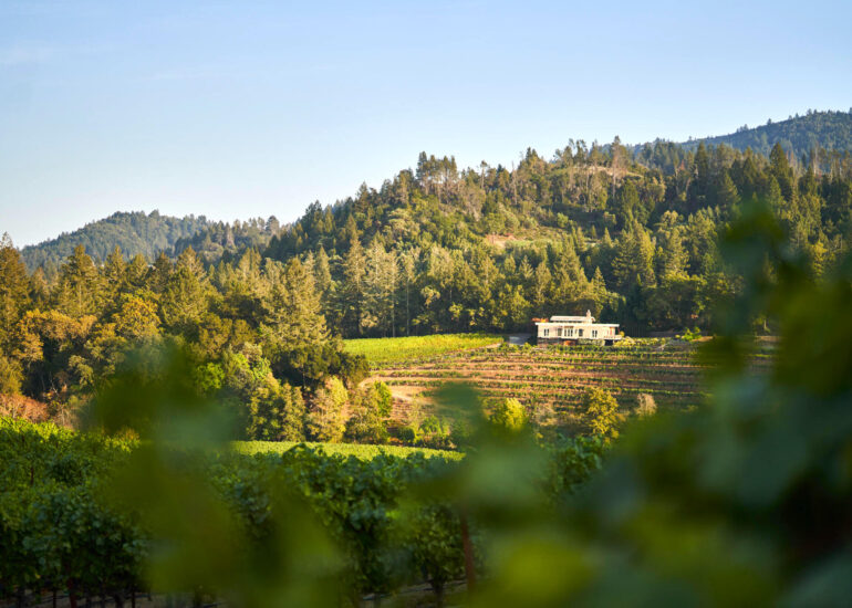 Diamond Creek Vineyards