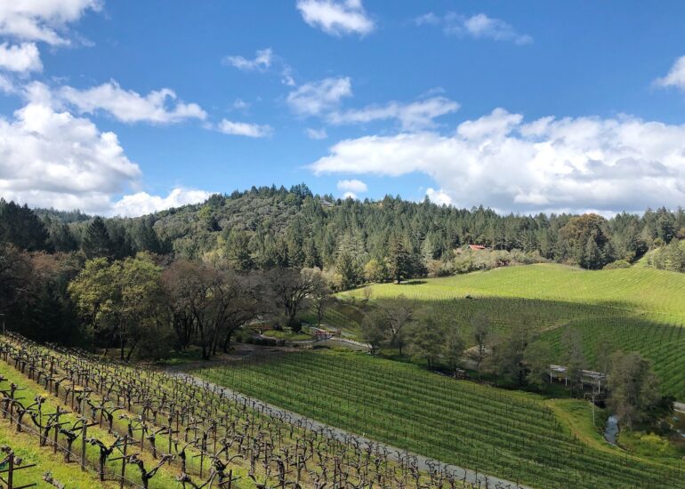 Diamond Creek Vineyards