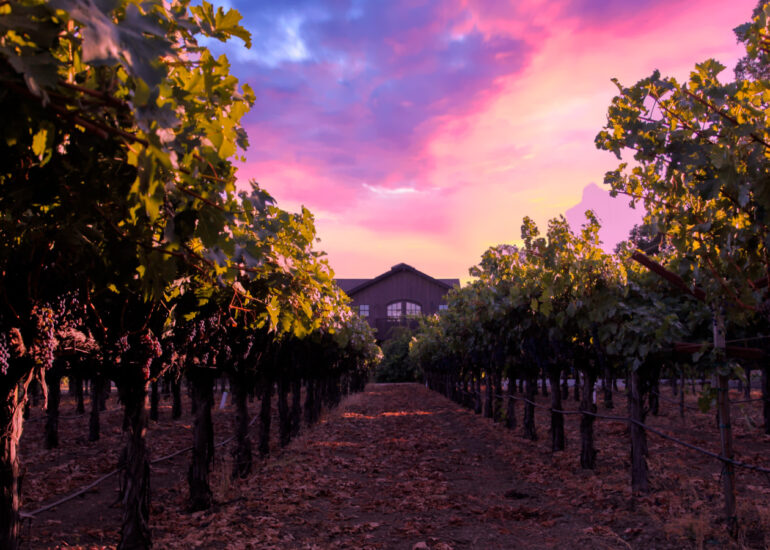 Salvestrin Winery