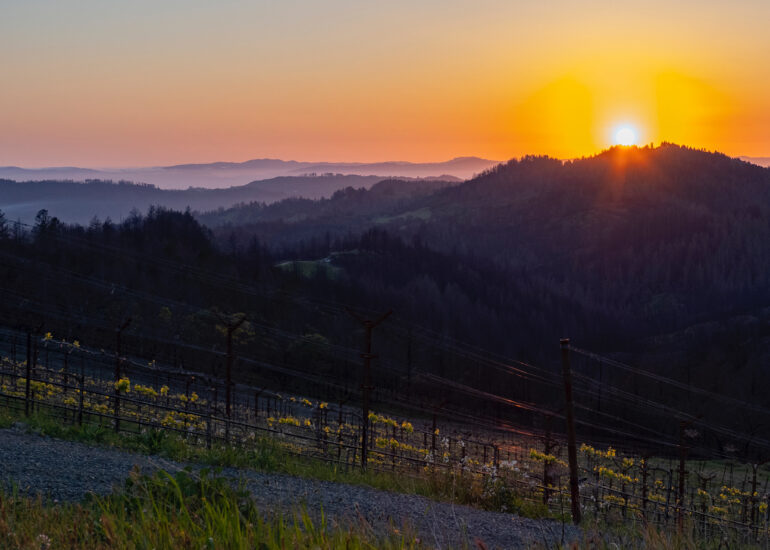 Pride Mountain Vineyards
