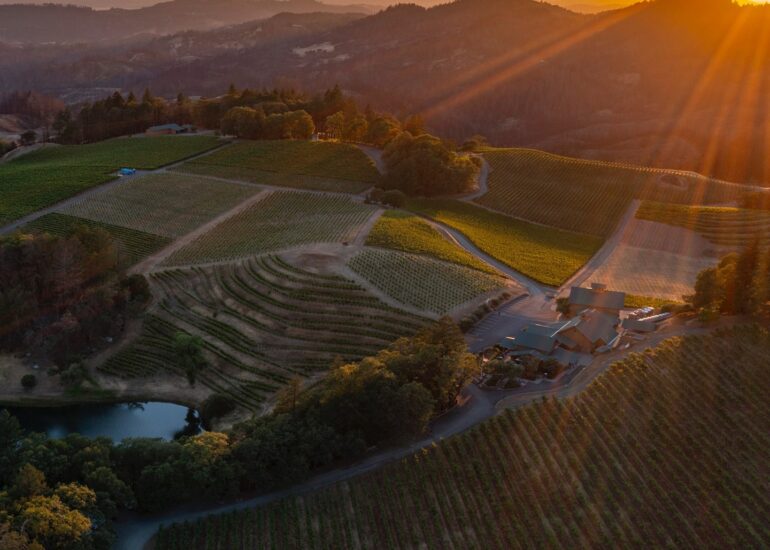 Pride Mountain Vineyards