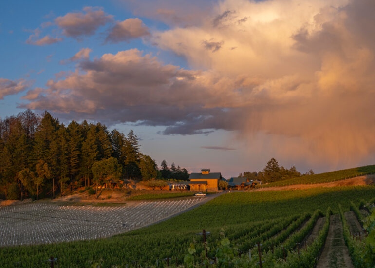 Pride Mountain Vineyards