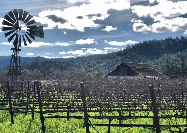Swanson Vineyards