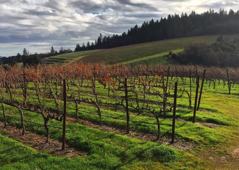 Robert Craig Winery