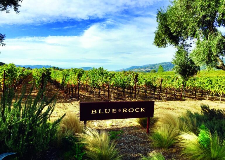 Blue Rock Vineyard