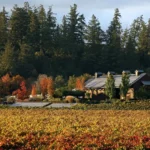 Dutcher Crossing Winery