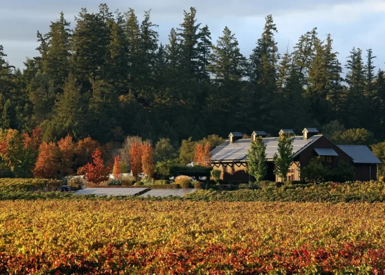 Dutcher Crossing Winery