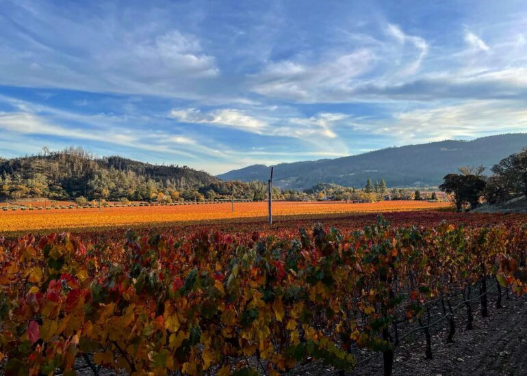 Kenefick Ranch Winery