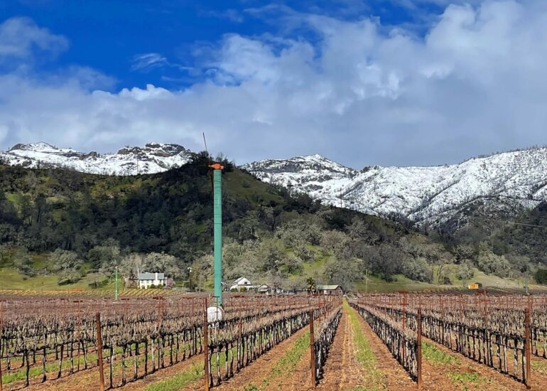 Kenefick Ranch Winery