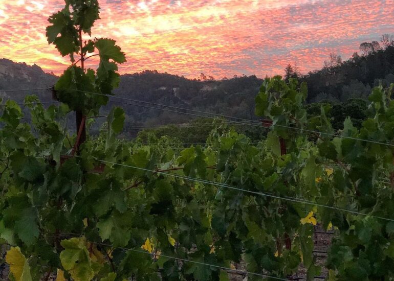 Kenefick Ranch Winery